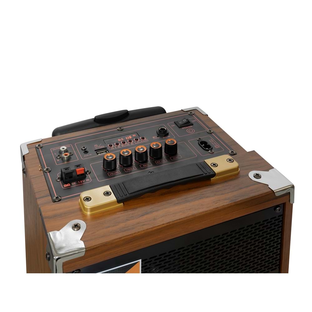 BAAB BQ8 Çift Karaoke Mikrofonlu Bluetooth Hoparlör FM Radyo 40W 8 İnç Kumandalı Ahşap