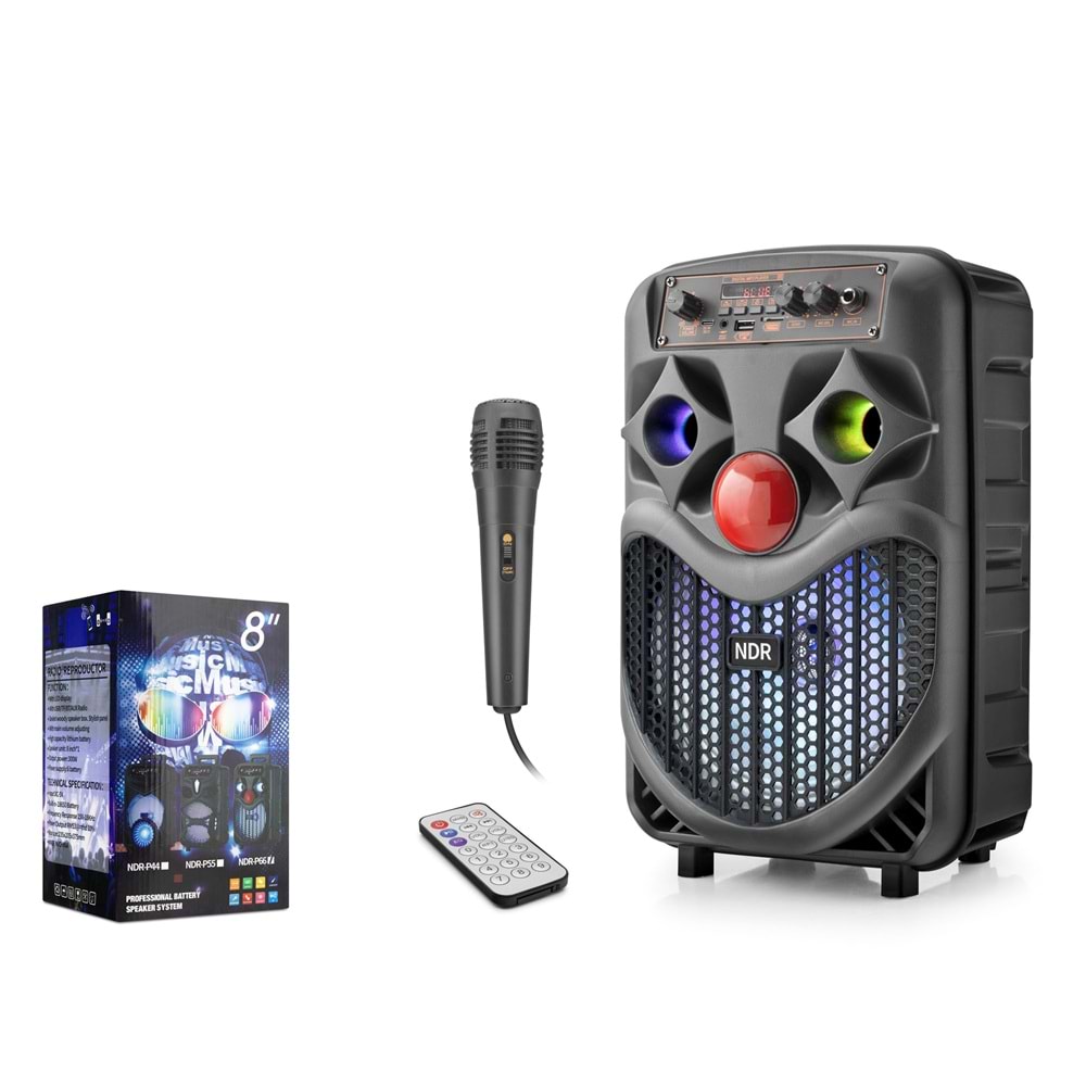 NDR NDRP66 Karaoke Mikrofonlu Bluetooth Hoparlör FM Radyo 10W 8 İnç RGB Siyah