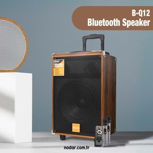 BAAB BQ12 Çift Karaoke Mikrofonlu Bluetooth Hoparlör FM Radyo 40W 12 İnç Kumandalı Ahşap