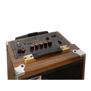 BAAB BQ8 Çift Karaoke Mikrofonlu Bluetooth Hoparlör FM Radyo 40W 8 İnç Kumandalı Ahşap