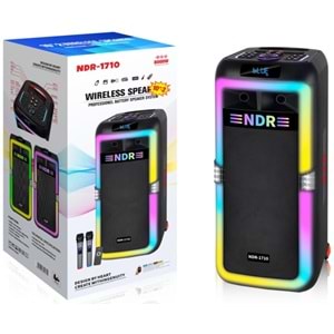 NDR NDR1710 Çift Karaoke Mikrofonlu Bluetooth Hoparlör FM Radyo 2x10 İnç RGB Kumandalı Siyah