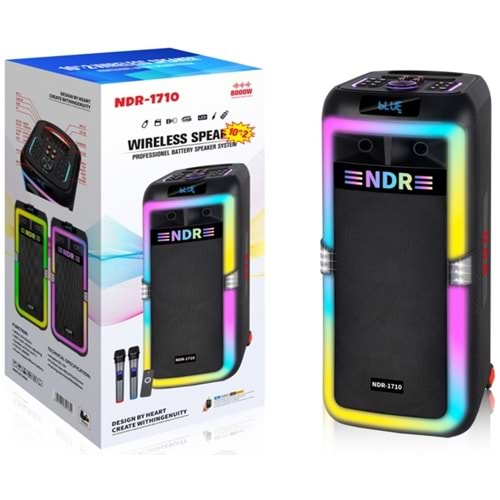 NDR NDR1710 Çift Karaoke Mikrofonlu Bluetooth Hoparlör FM Radyo 2x10 İnç RGB Kumandalı Siyah